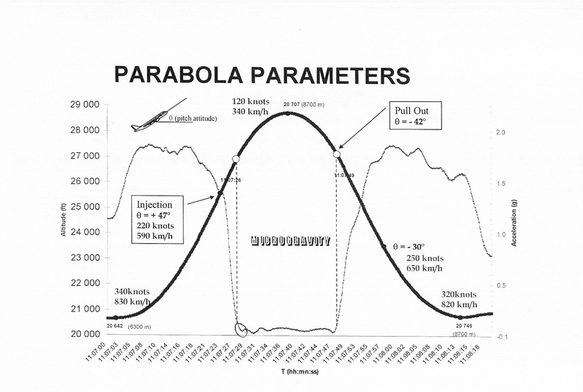 parabolas in real life. segment of the parabolas.