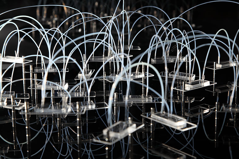 Microfluidic Oracle Chip, detail © Agnes Meyer-Brandis, VG Bildkunst, 2019